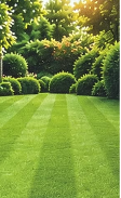 Thick, striped, healthy turf